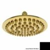 Newport Brass 215/56 12" Single Function Solid Brass Showerhead In Flat Black -AF SUPPLY Sales Store 21556 black