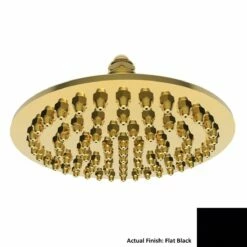 Newport Brass 215/56 12" Single Function Solid Brass Showerhead In Flat Black