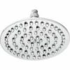 Newport Brass 215/04 9 Inch Diameter Ceiling Mount Showerhead Only In Satin Brass PVD