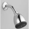 Dornbracht 28507970-08 Adjustable Shower Head In Polished Nickel