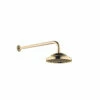 Dornbracht 28545977-090010 Rain Shower Wall-Mounted In Durabrass 1 Dornbracht 28545977-090010 Rain Shower Wall-Mounted In Durabrass -AF SUPPLY Sales Store 28545977 090010