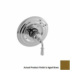 Newport Brass 3-1744TR/034 Bevelle Single Handle Round Thermostatic Valve Trim With Metal Lever Handle In Aged Brass