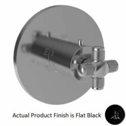 Newport Brass 3-3264TR/56 Clemens Thermostatic Control Trim In Flat Black