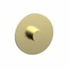 Phylrich 4-181/03U Basic II 3/4" Round Shower Thermostatic Plate Trim In Polished Brass Uncoated