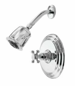 Newport Brass 3-924BP/01 Astor Shower Faucet With Single Metal Cross Handle, Forever Brass
