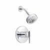 Danze D511558TC Parma Shower Trim Kit With 5 Showerhead Function In Polished Chrome -AF SUPPLY Sales Store d511558tc