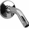 Speakman S-2520 5-1/2 Inch Shower Arm And Flange In Polished Chrome