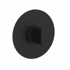 Phylrich 4-574/040 Rond 3/4" D Wall Mount Single Blade Handle Thermostatic Shower Trim In Matte Black